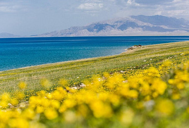 7月新疆 伊犁环线 活动召集中 沉醉在美丽的花海 赛里木湖（8日行程）