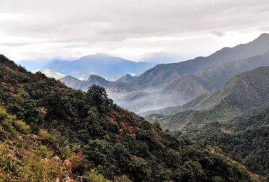 徒步翻越云南最美原始森林高黎贡山 实现人生最美的遇见（5日行程）
