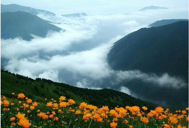 帐篷节 茶山 徒步露营河北第一高山村宿营天堂 赏金莲花（2日行程）