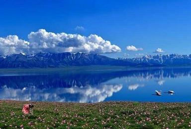新疆专线 超级南北疆环线 纯玩深度游（13日行程）