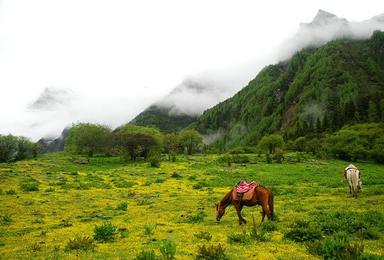 四姑娘山 长坪沟 双桥沟深度摄影（2日行程）