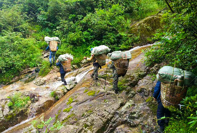 探秘高黎贡山 贡山穿越独龙江 近距离接触野生动物（10日行程）