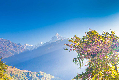 世界第十高峰尼泊尔鱼尾峰安娜普尔纳大本营ABC喜马拉雅徒步（11日行程）