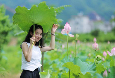 行途户外 华北明珠 白洋淀 荷花大观园 芦苇荡（1日行程）