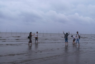 九段沙原生态湿地踏浪去（1日行程）