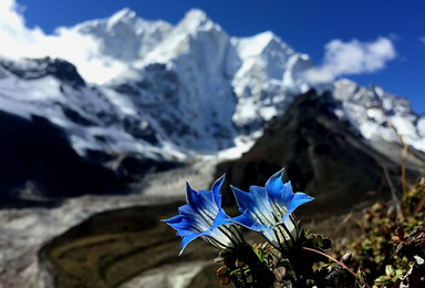 世界十大经典路线 西藏 珠峰东坡 嘎玛沟徒步 珠峰东坡徒步（13日行程）