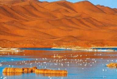 十一腾格里沙漠 用脚步丈量沙漠 五湖连穿（3日行程）