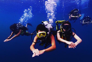 DSD体验潜水课程（1日行程）