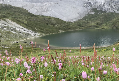 香格里拉阿布吉神山（1日行程）