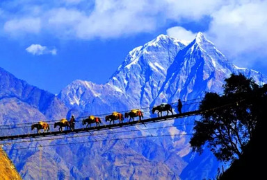 著名画家和您有缘行动高山王国尼泊尔异域圣地之旅（20日行程）