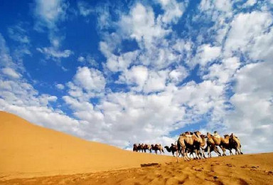 国庆专线 徒步穿越第七大沙漠 库布齐（4日行程）