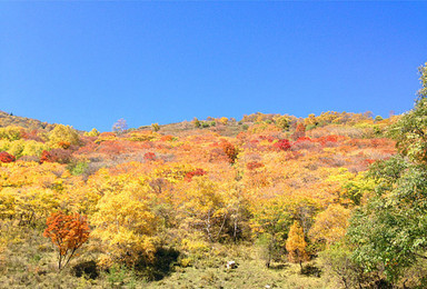 京北第一峰东猴顶 老掌沟徒步（2日行程）