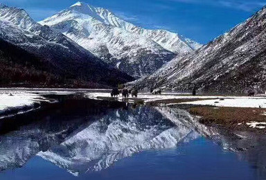 川藏南线 海螺沟 稻亚 拉萨 羊湖（11日行程）