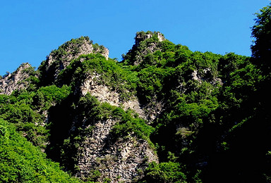 南天丽景赏千亩高山花海 玻璃栈道徒步游（1日行程）