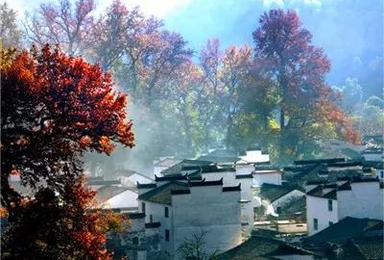 秋色无边婺源美境之旅(3日行程) 秋色无边婺源美境之旅(3日行程)