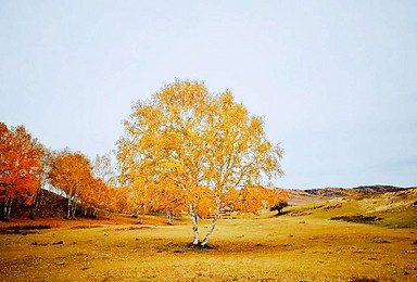 10月14日 北灵 柏峪秋季穿越 看最美秋季户外风光（1日行程）