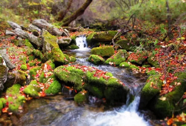 秦岭秋色 小坝沟 獒园 大坝沟穿越 老线新走（1日行程）