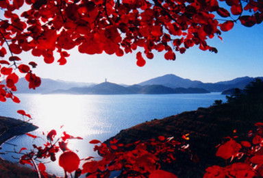 环金海湖徒步 赏北京最美秋色 红叶（1日行程）