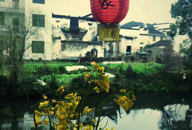 婺源秋景 篁岭晒秋 石城日出 蓝天 青山 粉墙 青砖（2日行程）