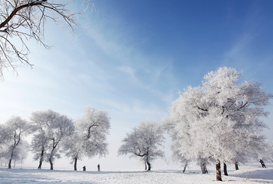 元旦 最美长白山 魔界 白色雪乡 雪谷（5日行程）