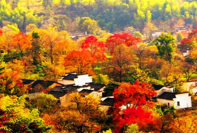 潮尚户外 天津出发 徽州秋色 宏村 塔川 齐云山 夜宿屯溪(2日行程) 潮尚户外 天津出发 徽州秋色 宏村 塔川 齐云山 夜宿屯溪(2日行程)