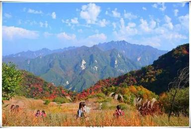 七十二峪 石砭峪 天池寺穿越龙窝 赏芦花晚秋（1日行程）