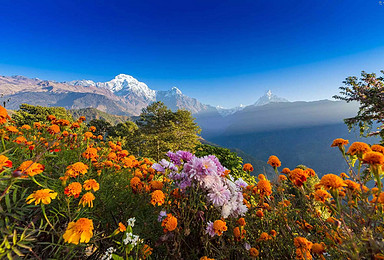 尼泊尔小环线博卡拉安娜普尔纳鱼尾峰滑翔伞布恩山（8日行程）