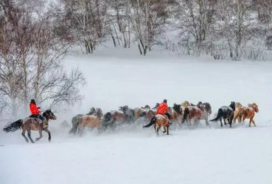 乌兰布统 塞北雪乡 乌兰布统 冬季越野车深度冰雪之旅（3日行程）