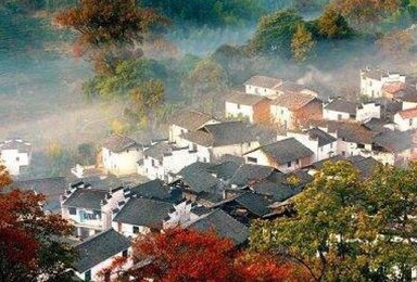 白墙黑瓦 古枫晒秋 婺源(3日行程) 白墙黑瓦 古枫晒秋 婺源(3日行程)