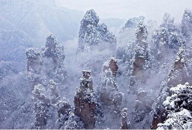 春节高铁 张家界跨年赏雪 挑战大峡谷玻璃桥 游国家森林公园（3日行程）