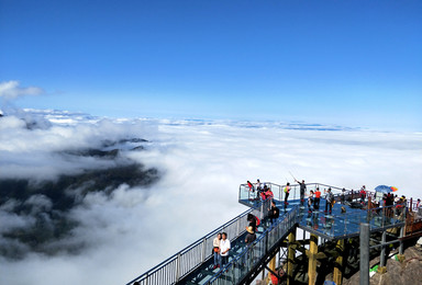 梦幻仙境金子山垂直天梯登山 登最高玻璃桥天梯 森林滑道（1日行程）