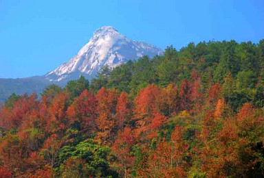 赏片片枫叶情 新丰云髻山登山珠 三角最高峰 海拔1438米（1日行程）