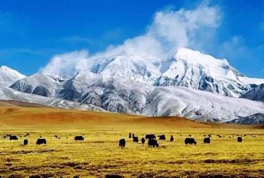 青藏线 可可西里 唐古拉山 昆仑山 茶卡盐湖 青海湖（4日行程）