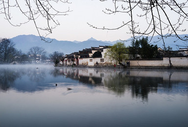 元旦12 29出发黄山 水墨宏村 竹海 百里画廊大巴团（4日行程）