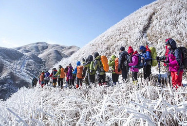 元旦去江武武功山撒欢 赏冰挂雾淞 赏白色武功山（3日行程）