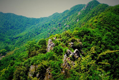 徒步龙坞古道 登顶午潮山 游国家森林公园（1日行程）