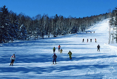 哈尔滨 亚布力激情滑雪 二浪河 雪乡穿越林海（3日行程）