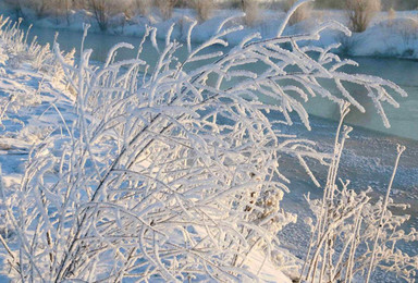 滑雪 雪乡穿越 温泉 雾凇 走进东北冰雪王国 感受雪地奇缘（7日行程）