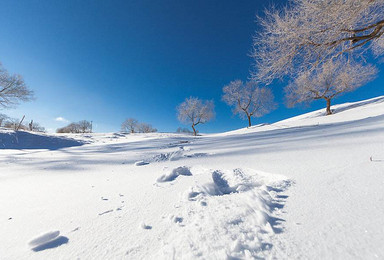 坝上草原穿越闪电湖和林海雪原（2日行程）