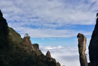 婺源踏春 观篁岭梯田油菜花海 赏三清山巨蟒出山（3日行程）