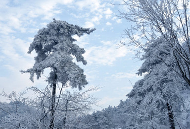 春节线路 赏大别山雪景 徒步穿越龙井峡（3日行程）