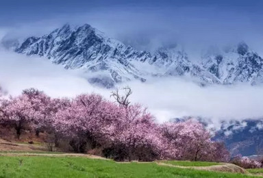 藏地桃花摄影 邂逅西藏最美的春天（9日行程）