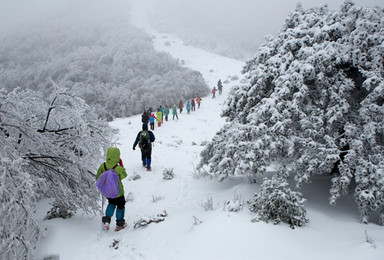 杀猪宰羊备年货 徒步皖南高山草甸 道场坪 偶遇这片雪（3日行程）