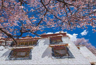 西藏旅游拉萨林芝桃花节巴松措鲁朗米堆冰川南迦巴瓦峰嘎啦桃花村（8日行程）