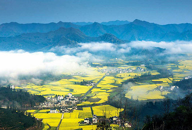 3月婺源油菜花 黄山 千岛湖 上海外滩国内4地摄影采风（11日行程）