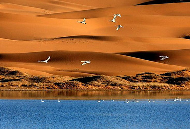 五一 大漠行游 遇见腾格里 沙漠体验之旅（4日行程）