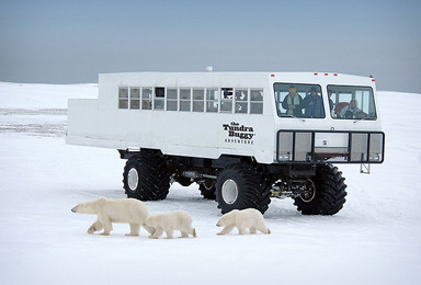 北极熊打猎房车游艇班夫国家公园精品小众高端团（15日行程）