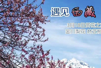 天上西藏 人间净土 3月18成都出发林芝桃花节招募中（10日行程）