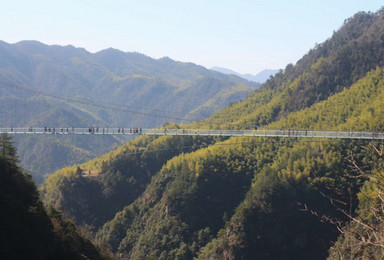 华东第一玻璃桥 仙境森林公园 灵江源高空玻璃桥（2日行程）