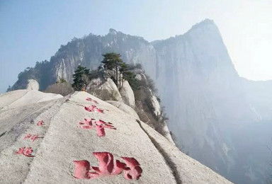清明丨访兵马俑 赏汉中油菜花 登西岳华山之旅 火车出行(4日行程) 清明丨访兵马俑 赏汉中油菜花 登西岳华山之旅 火车出行(4日行程)